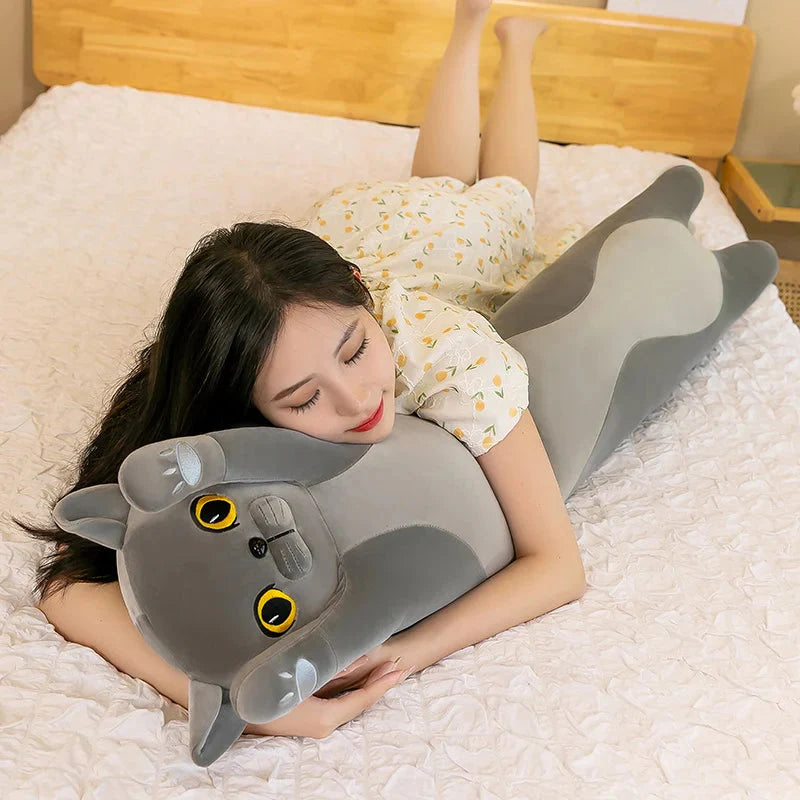 Long Snuggly Cat Siamese British Shorthair Snowshoe Plushies Collection