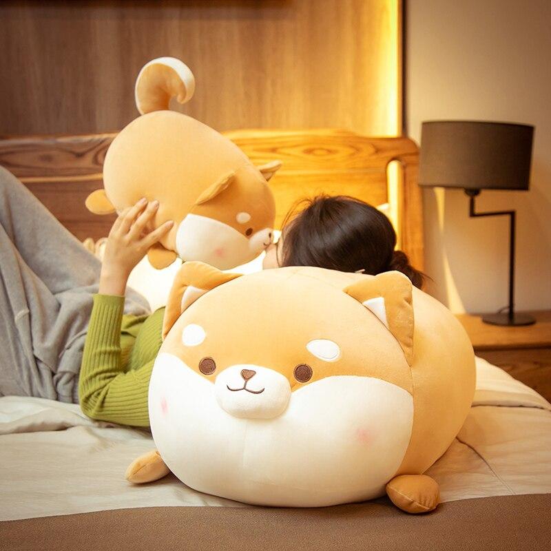 Plumpy Blushing Shiba