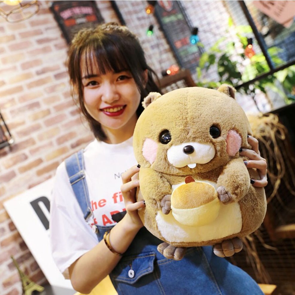 Snacking Beaver Plushies | LIMITED STOCK