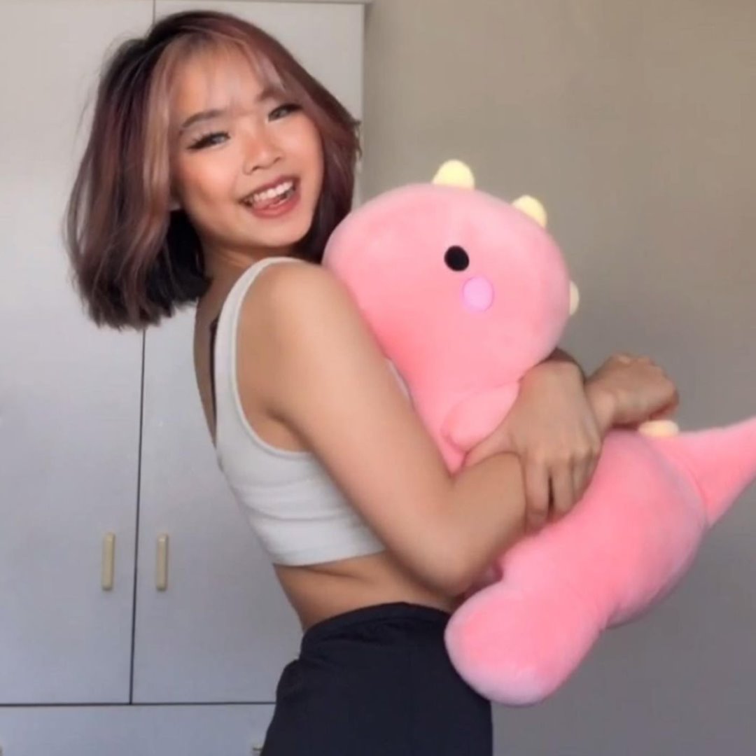 The Dinosaur Family Plushies