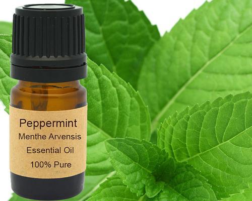 Peppermint Essential Oil