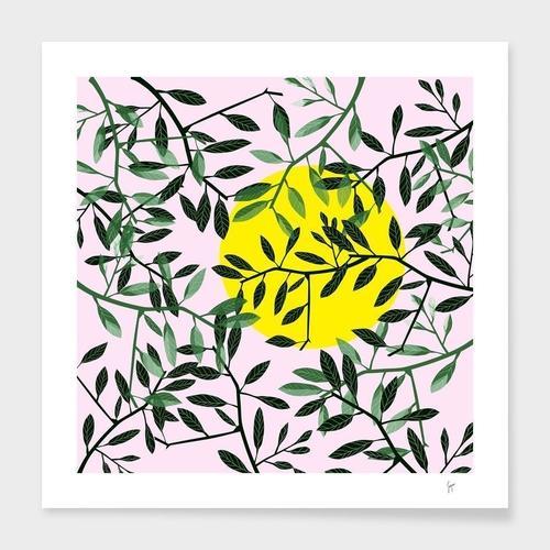 One Summer Day Frame