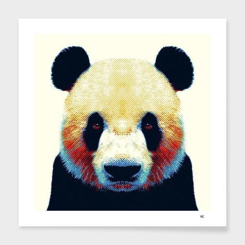 Panda - Colorful Animals Frame