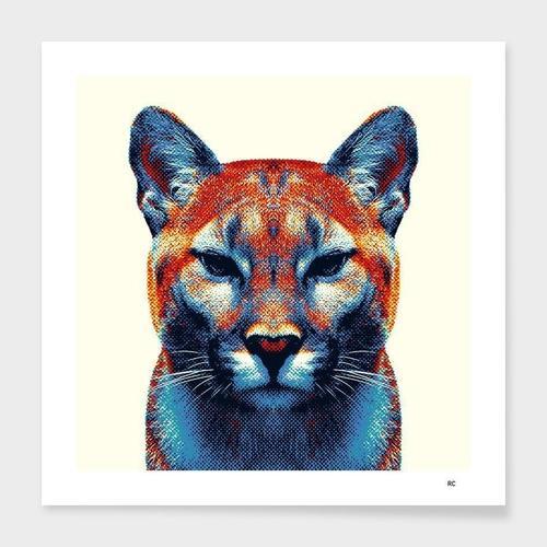 Puma - Colorful Animals Frame