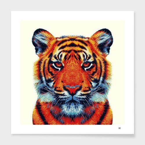 Tiger - Colorful Animals Frame
