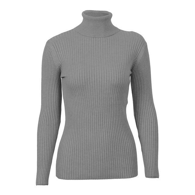 Turtleneck Knitted Skinny Sweater