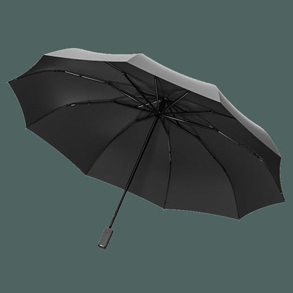Automatic Umbrella, with Built-in LED Lighting, 100-Day Long Standby & 10 Ribs, for Heavy Rain, Night, Outdoor & More