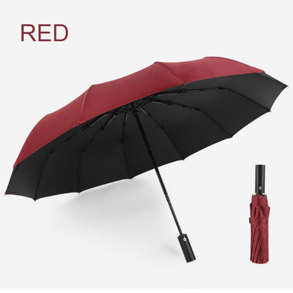 12-Rib Rain/UV Folding Umbrella, with Auto Open Close & Windproof Canopy, for Travel, Commute & More