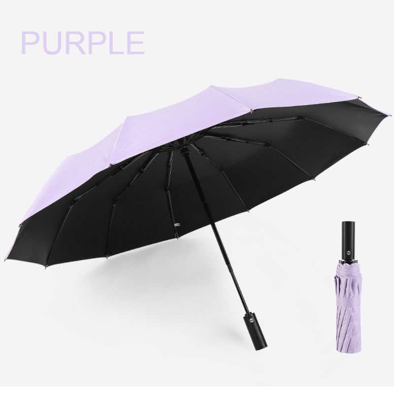 12-Rib Rain/UV Folding Umbrella, with Auto Open Close & Windproof Canopy, for Travel, Commute & More