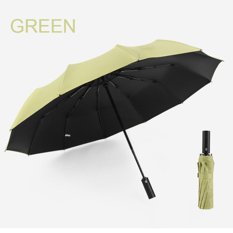 12-Rib Rain/UV Folding Umbrella, with Auto Open Close & Windproof Canopy, for Travel, Commute & More