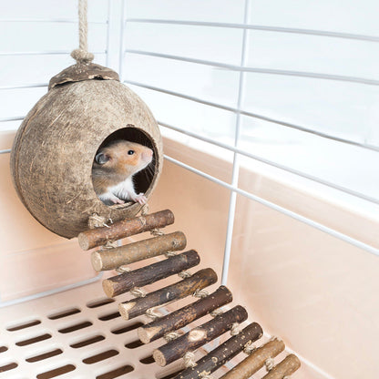 2-in-1 Climber and House, with Wood Ladders, for Hamster, Squirrel, Bird & More