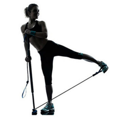 8-in-1 Portable Pilates Bar Kit with Resistance Band, Foot Loop, Ideal for Home Total Body Workout, Gym, Weightlifting