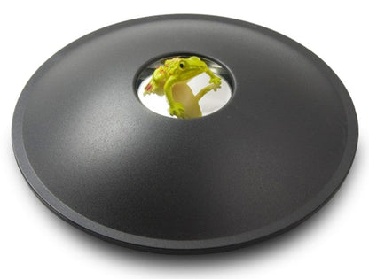 3D Hologram Image Toy, Optical Projection & Visual Illusion, Best Gift for Christmas, Thanksgiving & Holidays