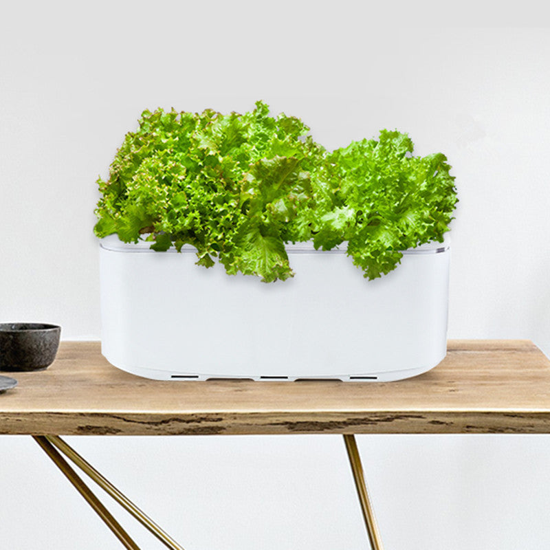 Intelligent Hydroponic Soilless Cultivation Pot with Automatic Watering, Water Level Indication and Electronic Control, for Home and Office ( with US Standard Plug, 110v~220v)