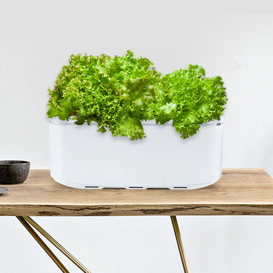 Intelligent Hydroponic Soilless Cultivation Pot with Automatic Watering, Water Level Indication and Electronic Control, for Home and Office ( with US Standard Plug, 110v~220v)