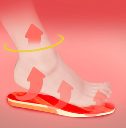 Graphene Rechargeable Heating Insole