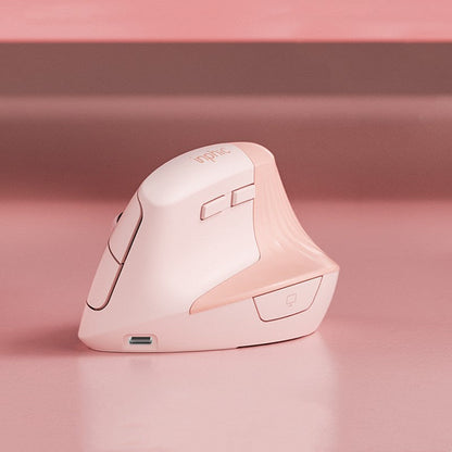 Ergonomic Vertical Wireless Mouse