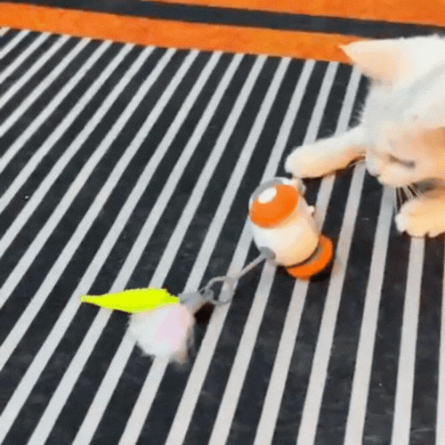 Why Cat Parents Love It