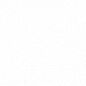 Cuddle Comfort Companion