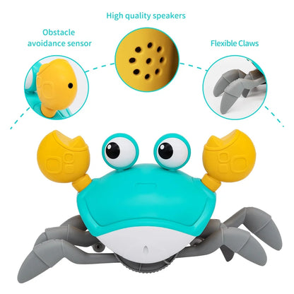 Dancing Crab Baby Toy - Interactive Toy with Music & Lights