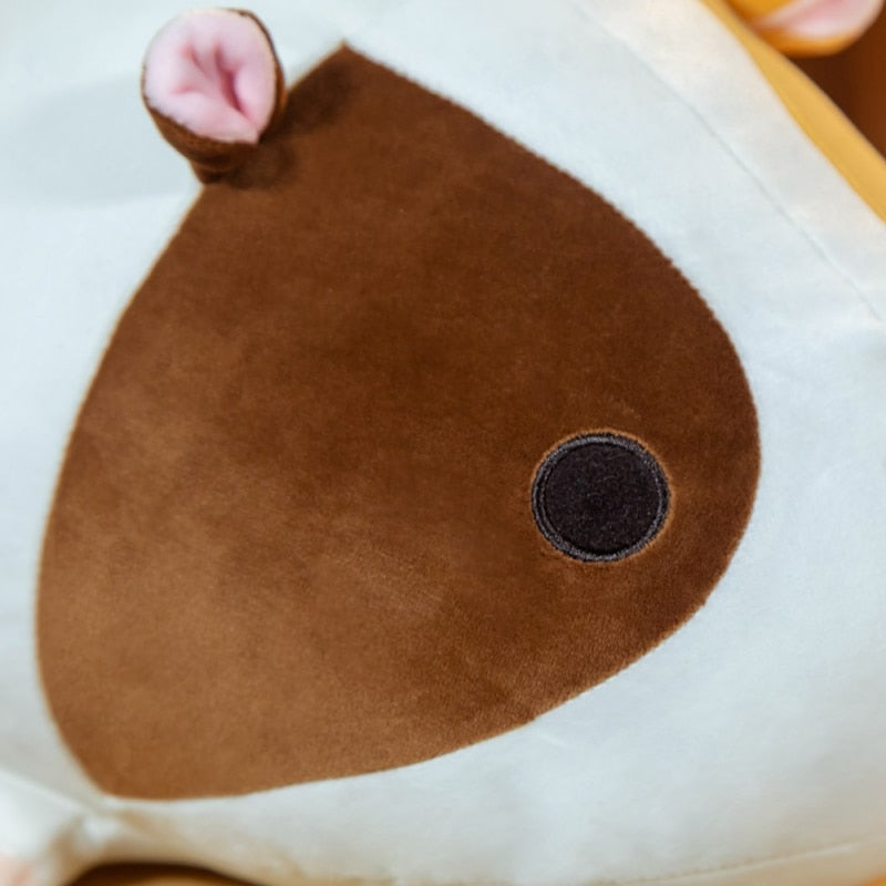 Adorable Lying Guinea Pigs Squad