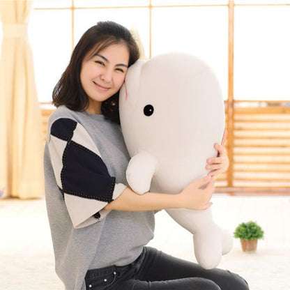 Baby Beluga