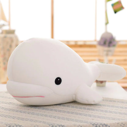 Baby Beluga