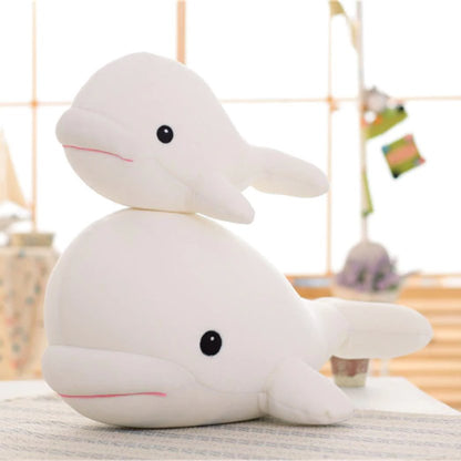 Baby Beluga