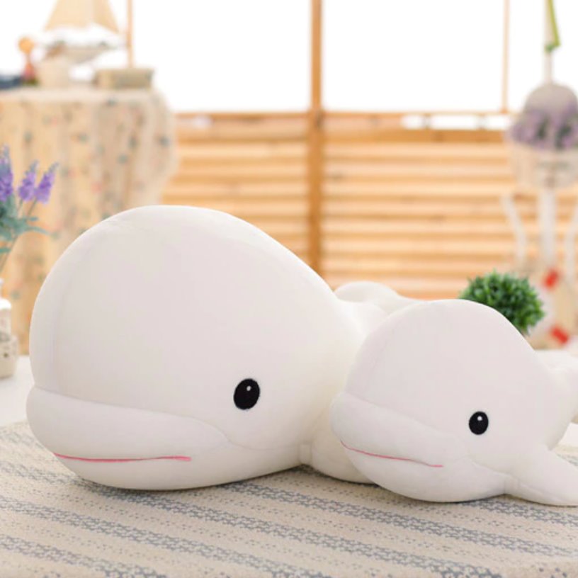 Baby Beluga