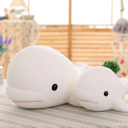 Baby Beluga