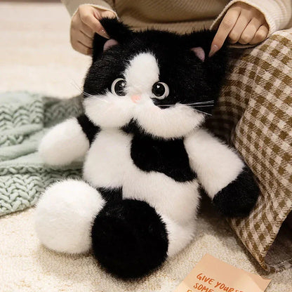 Big-eyed Calico Siamese Cat Plush Friends