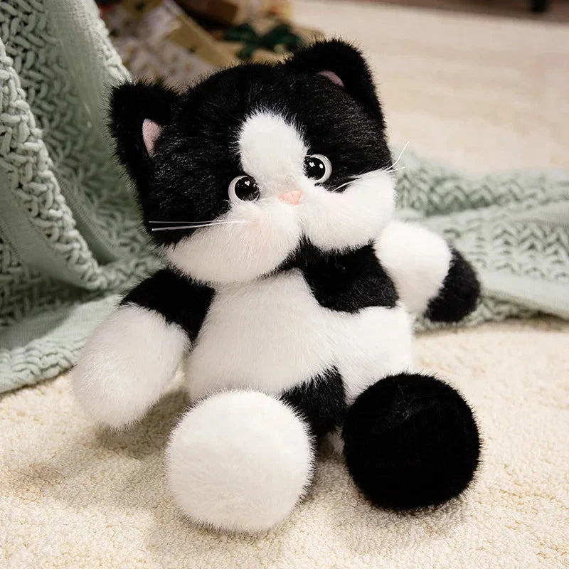 Big-eyed Calico Siamese Cat Plush Friends