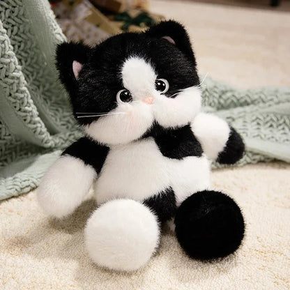 Big-eyed Calico Siamese Cat Plush Friends