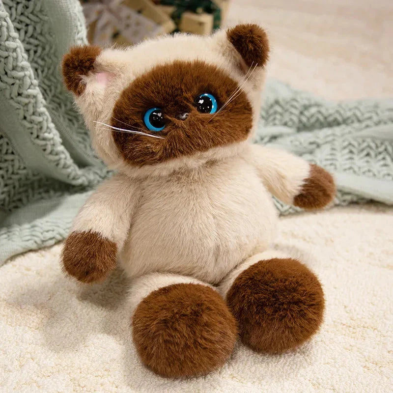 Big-eyed Calico Siamese Cat Plush Friends