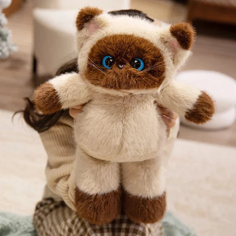 Big-eyed Calico Siamese Cat Plush Friends