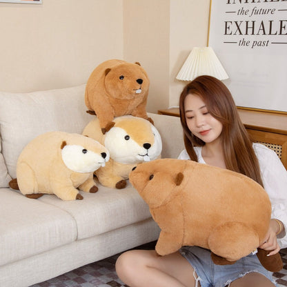 Billy & Willy the Fluffy Brown Beaver Plushie