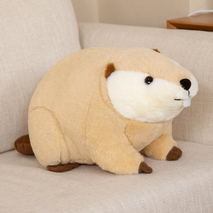 Billy & Willy the Fluffy Brown Beaver Plushie