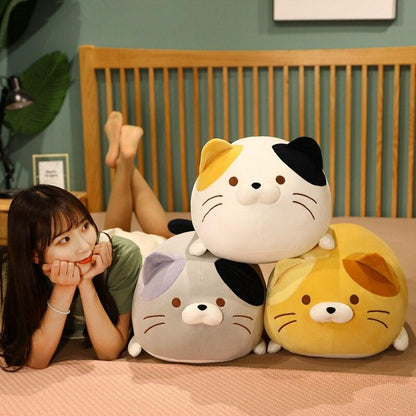 Chubby Cat Squad
