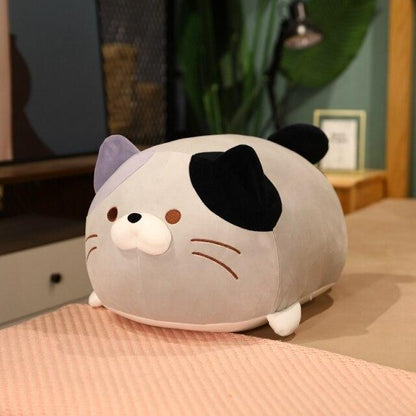 Chubby Cat Squad