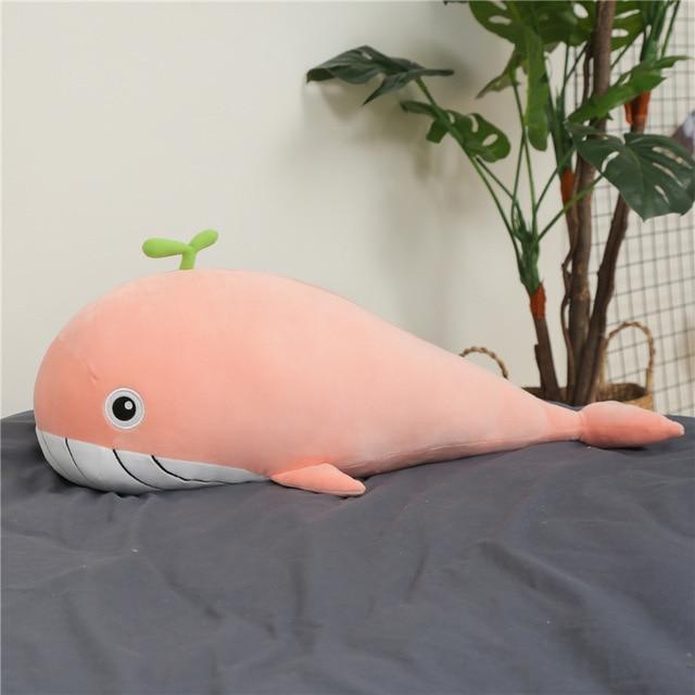 A Pod of Cuddly Whale Plushies
