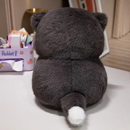Cute Chubby Gray Ginger Cat Plushies