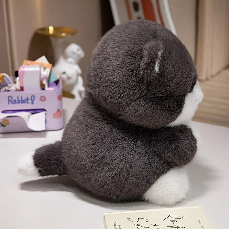 Cute Chubby Gray Ginger Cat Plushies