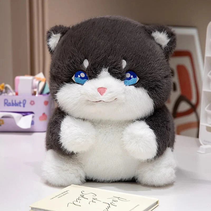 Cute Chubby Gray Ginger Cat Plushies