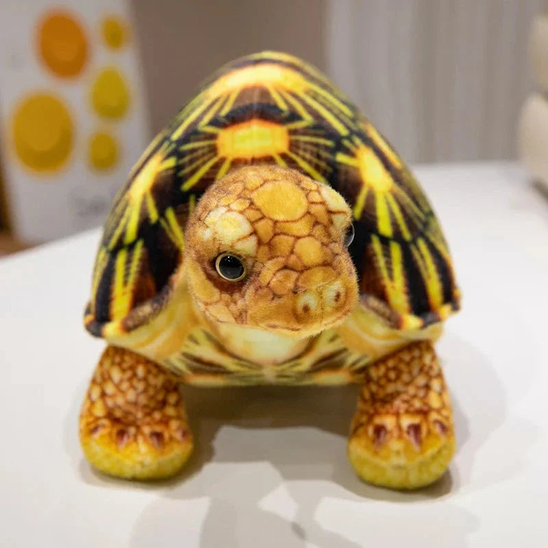 Cute Life Like Tortoise Plushie