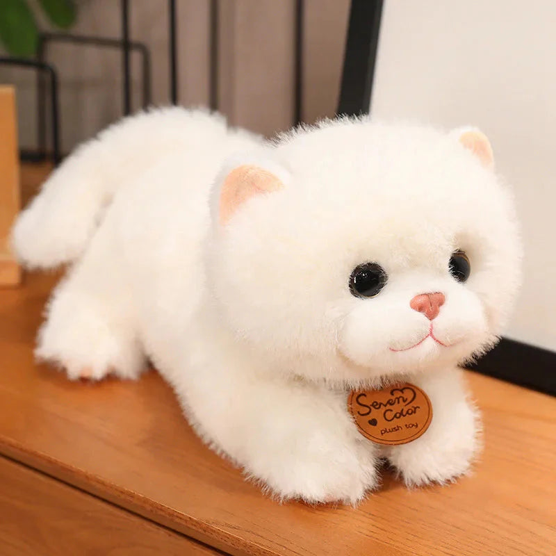 Fluffy Kitten Squad Laying Plushies