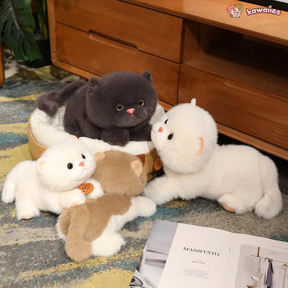 Fluffy Kitten Squad Laying Plushies