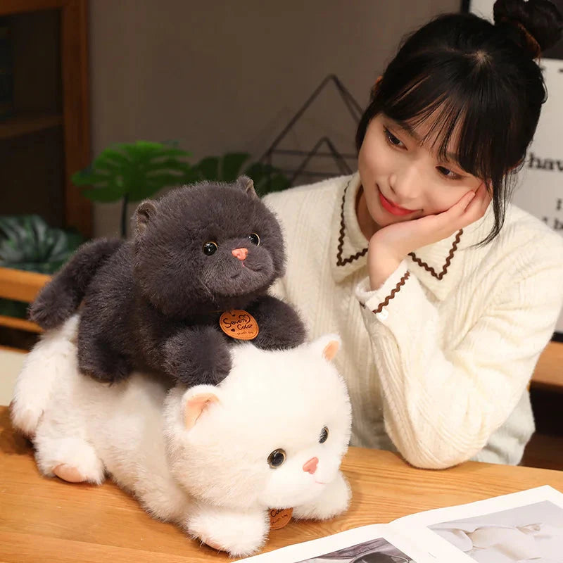 Fluffy Kitten Squad Laying Plushies