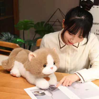 Fluffy Kitten Squad Laying Plushies