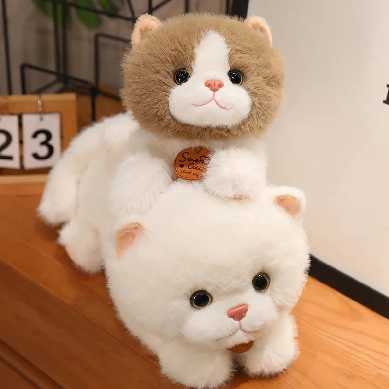 Fluffy Kitten Squad Laying Plushies