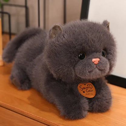 Fluffy Kitten Squad Laying Plushies